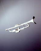 picture - trumpet